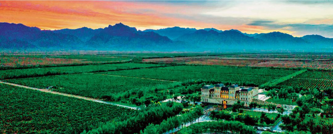 1763428716100664.png 微信图片_2025-11-18_091820_826.png